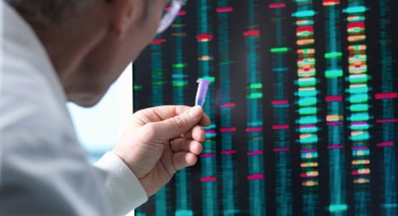 База генетики. Исследование ДНК. Исследование генома человека. Способы изучения генома человека. Молекулярно-генетическое исследование.